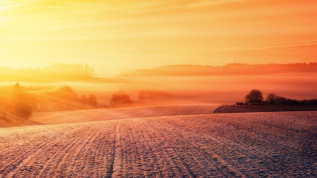 Którą zaprawę nasienną powinieneś teraz stosować?